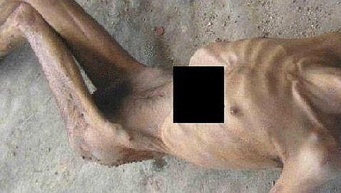 Un informe documenta «matanzas a escala industrial» por parte de Damasco