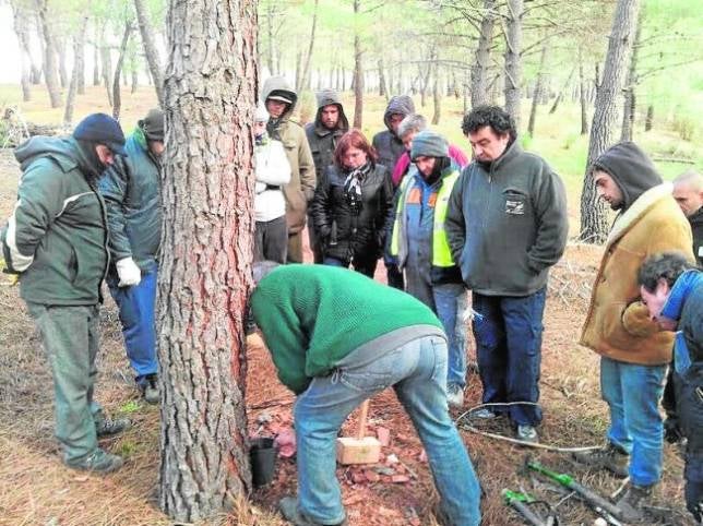 En marcha la asociación de resineros de la provincia de Cuenca