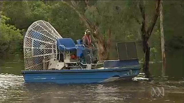 Certifican la muerte del joven que desapareció tras el ataque de un cocodrilo en Australia