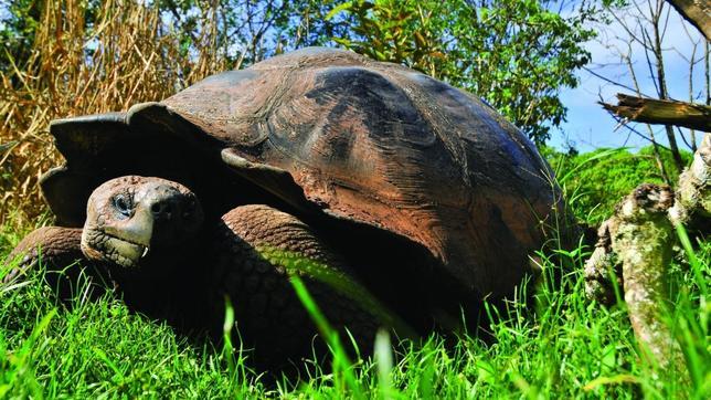 Las vacaciones en barco más exóticas del planeta