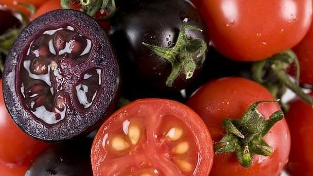 El «supertomate» morado para combatir el cáncer
