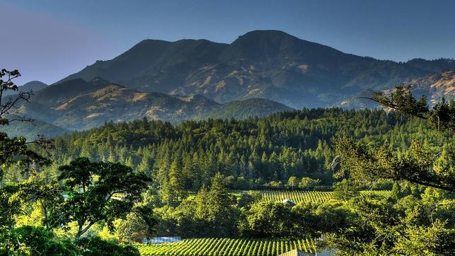 El tráfico de drogas contribuye a la deforestación en América Central