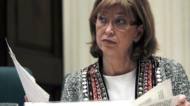 Rigau: el recurso contra el bilingüismo confirma que «el castellano no es residual»