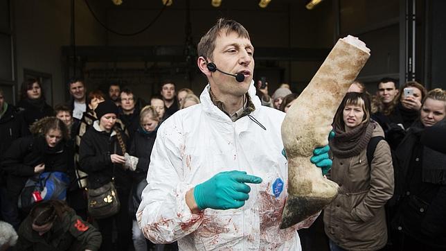 El director del zoo danés que sacrificó una jirafa denuncia amenazas de muerte