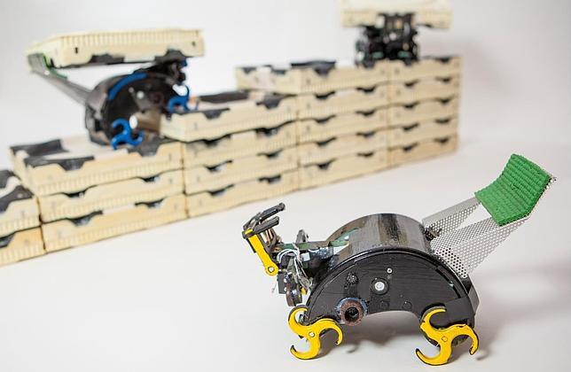 Robots inspirados en termitas pueden construir solos, sin planos y sin ayuda