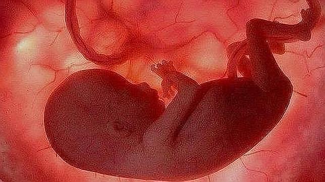 La mayoría prefiere una ley del aborto de supuestos frente a la de plazos