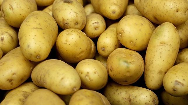 Crean una superpatata capaz de resistir la peor plaga