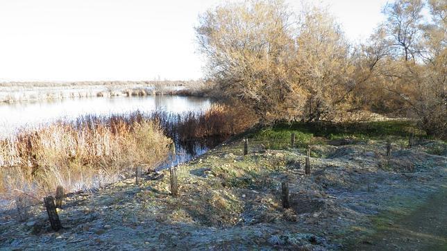 La Confederación Hidrológica del Tajo restaura el río en Aranjuez