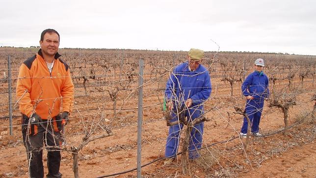 Más de 1.000 jóvenes de Castilla-La Mancha se han incorporado al campo en los últimos cinco años