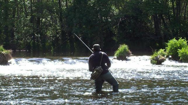 Convertir a la trucha en la estrella de la pesca fluvial en España