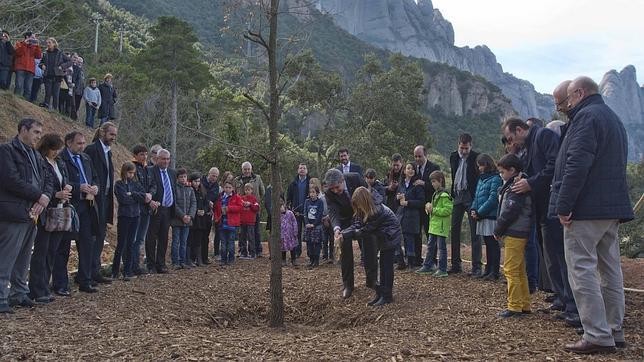 El roble se plantó y bendeció el pasado domingo