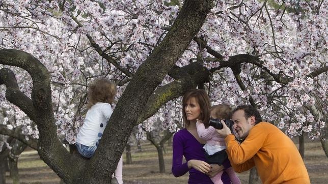 Madrid tiene su «valle del Jerte»