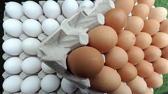 Alimentos que eran malos y que ahora tenemos que tomar