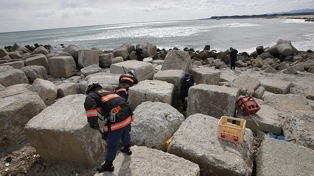 El director del Organismo Internacional de la Energía Atómica apoya el vertido regulado de agua de Fukushima al mar