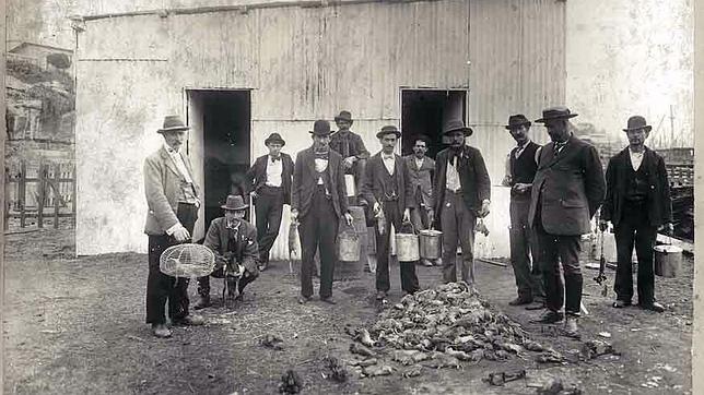 Cazadores de ratas en Sydney, en 1900