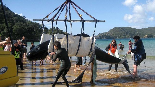 Verne también fue un visionario del futuro del medio ambiente
