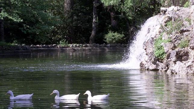 Estanque en el parque de El Capricho de Madrid