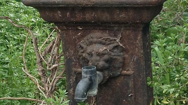 Detalle de una de las fuentes de agua potable de la finca Torre Arias