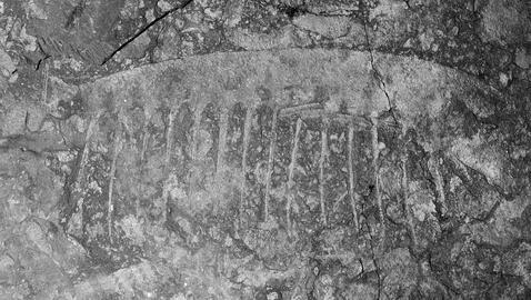 La tranquila «gamba» gigante del Cámbrico