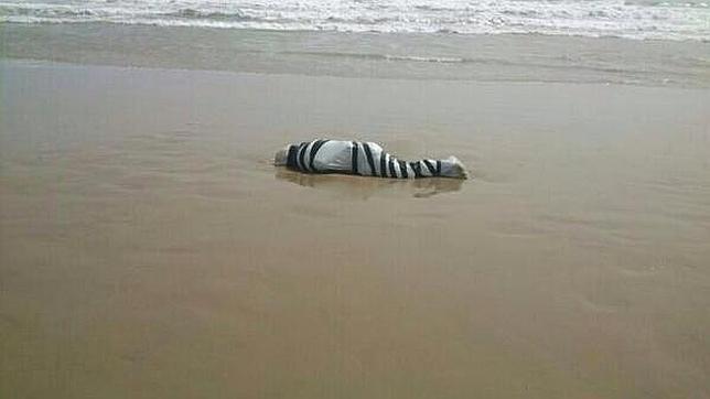 Encuentran un cadáver envuelto en plástico y atado con cinta en una playa de Orihuela