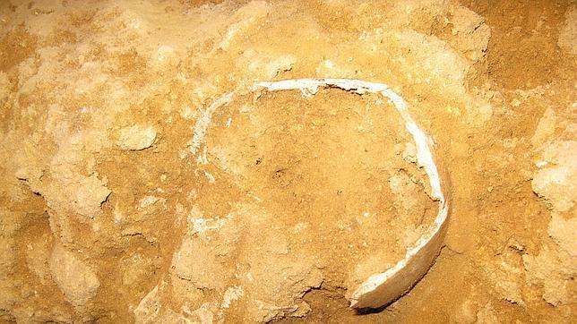 Restos óseos localizados en el subsuelo de una iglesia en Alcalá de Guadaira