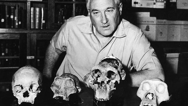 Homo habilis, un enigma 50 años después