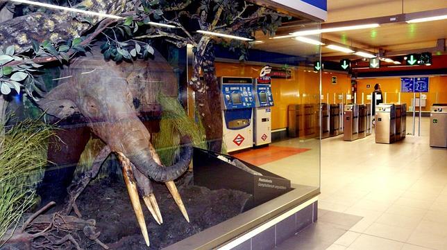 La estación cuenta con reproducciones de los animales cuyos restos se encontraron en las obras