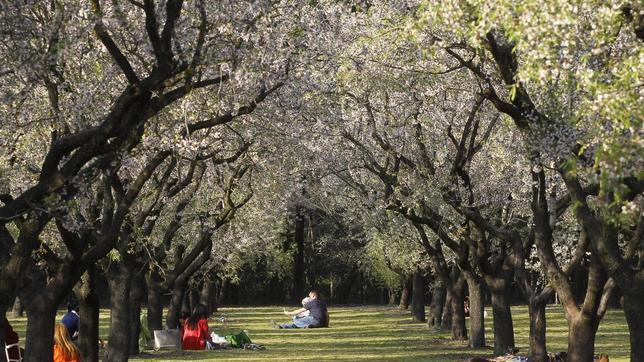 El buen tiempo llena los parques