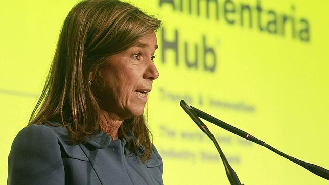 Mato reconoce que puede haber «injusticias» en la nueva financiación de la ley de Dependencia
