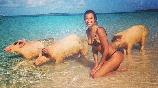 Irina Shayk, novia de Cristiano Ronaldo, rodeada de cerdos en la playa