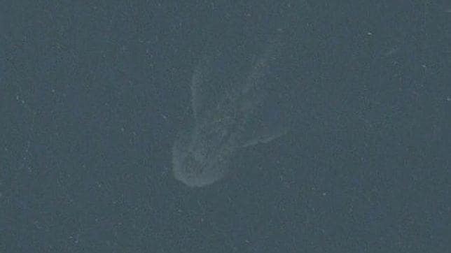 Un satélite de Apple revela una extraña imagen en el Lago Ness