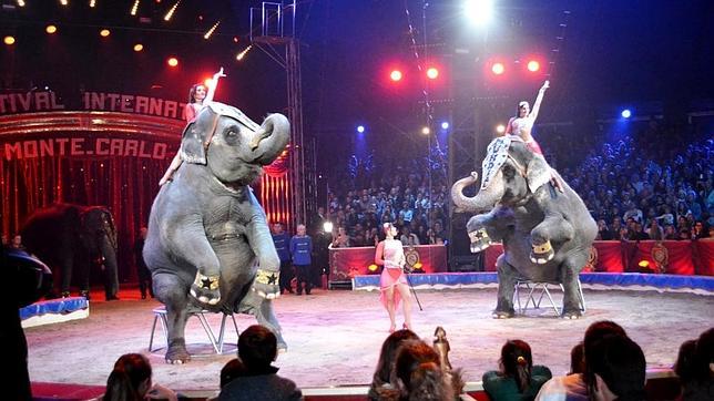Un paso más para prohibir los circos con animales en Cataluña