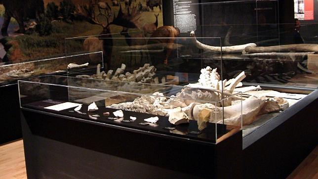 Museo Arqueológico Regional