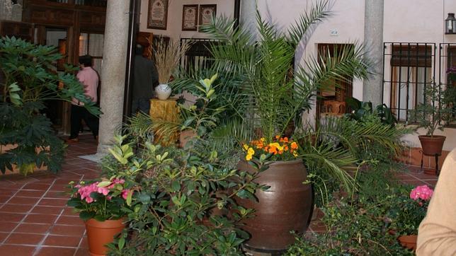 Las multitud de plantas de este patio hacen que parezca un jardín