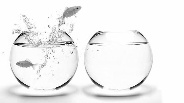 Casi uno de cada tres divorcios se debe al síndrome premenstrual de las mujeres