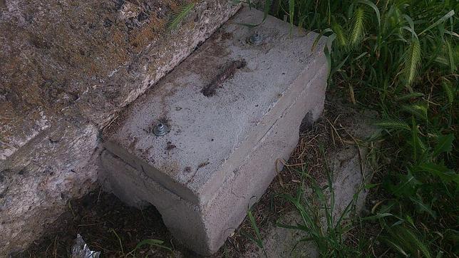 Trampas especiales para la plaga de ratas del Manzanares