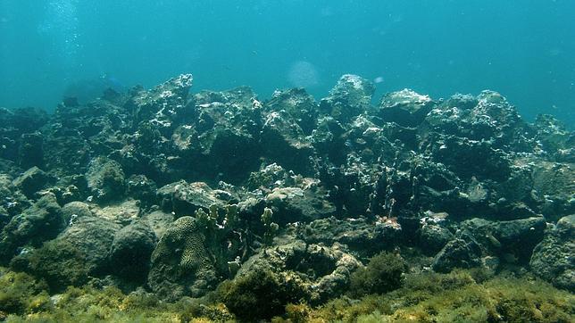 Pedirán a Haití permiso para demostrar si la nao Santa María es la que dice Clifford
