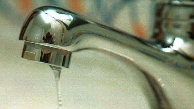 Consejos para evitar las plagas de cucarachas