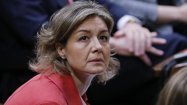 García Tejerina debuta en el Congreso con el tomate canario