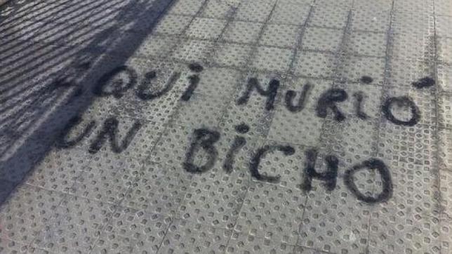 Buscan al autor de la frase «Aquí murió un bicho» en el puente donde falleció Isabel Carrasco