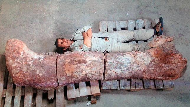 Paleontólogos argentinos aseguran haber descubierto el dinosaurio más grande del mundo