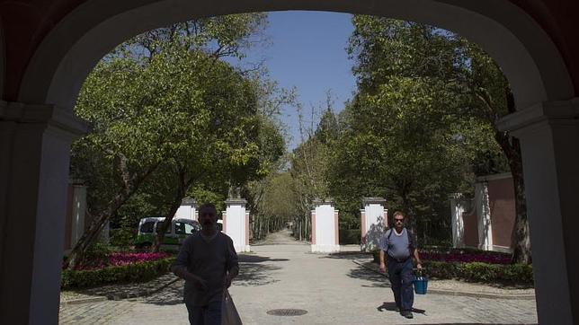 Por el Parque de Canillejas se disputa el Trofeo José Cano