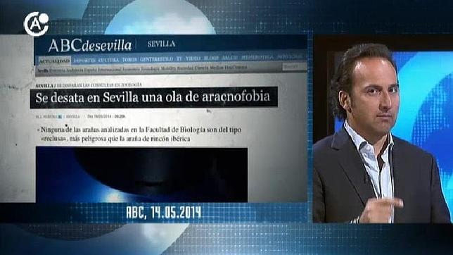 La psicosis por la araña parda en Sevilla llega a Cuarto Milenio
