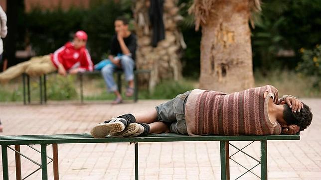 Unicef y la OMS son los dos organismos mejor valorados