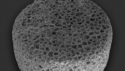 Imagen de microscopia en 3D de la formación de dentina