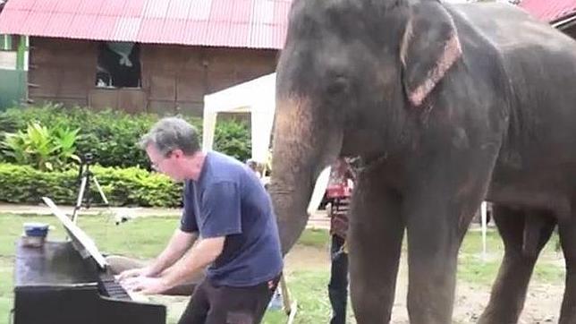 Un elefante ciego toca el piano en Tailandia