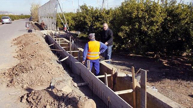 Así combaten el paro los pueblos: Puzol busca 108 aspirantes para trabajar en el campo