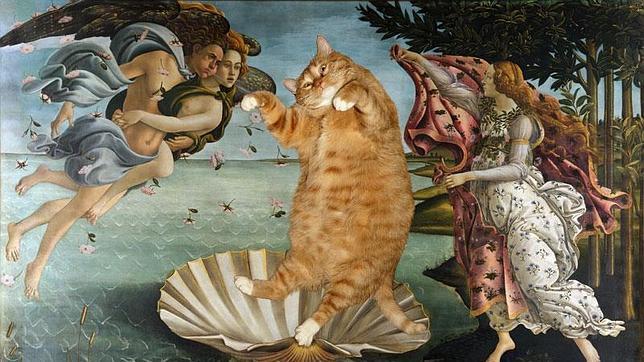 Zaratustra, el gato que se cuela en los cuadros más famosos de la historia