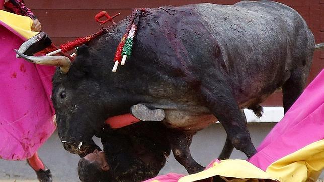 Victorino: emociones fuertes en San Isidro