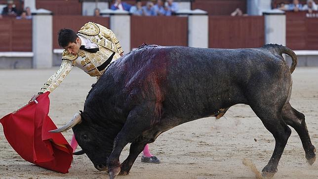 «Zahonero», un gran Miura en el cierre de San Isidro
